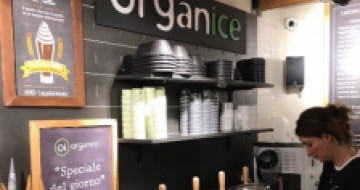 Organ Ice gelateria